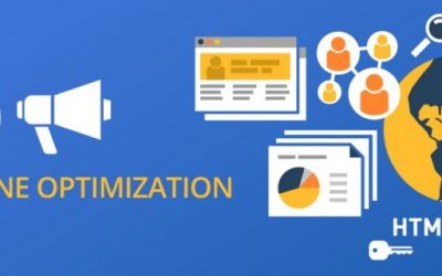 Web Development Courses + SEO Training